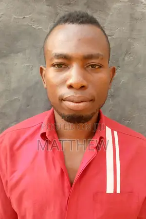Management CV