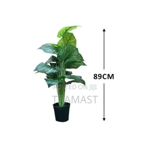 Artificial Plants in Decorating | Zebra House Plants