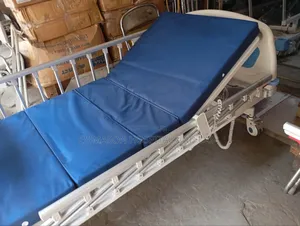 Executive Electric Bed/Patient Bed