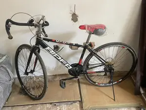 Pro Sport Bike