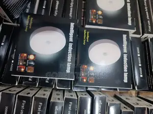 Motion Sensor Light