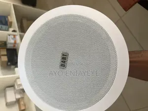 Ceiling Speaker