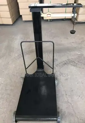 300kg Motorking Platform Scale