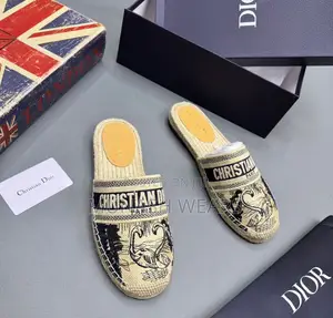 Dior Luxury Half Shoe