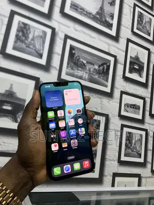 Apple iPhone 13 Pro Max 128 GB Blue
