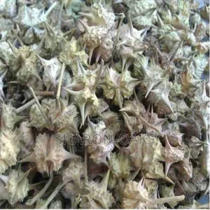 Tribulus Seed 100g