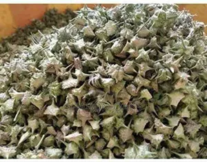 Tribulus Seed 1kg
