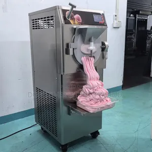 Hard Ice Cream Machine Standing