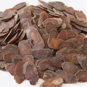 Red Panax Ginseng Root