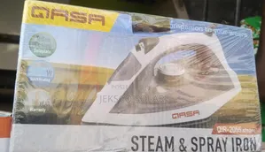 Qasa Steam AC/DC Iron
