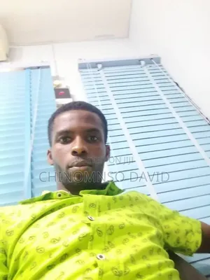 Mr Chinomnso David