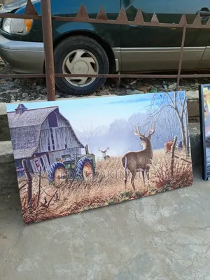 Canvas Frame for Home and Office
