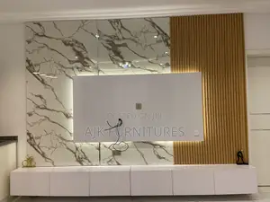 Exquisite Television Unit