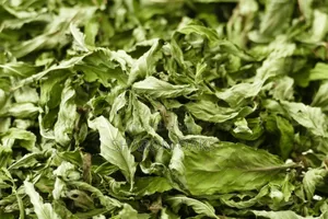 Spearmint Leaf 1kg