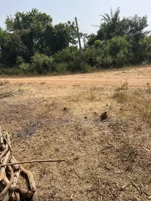 100 Acres of Land for Sale Where There’S Electricity