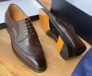 Luxury Italian Cooperate Shoes