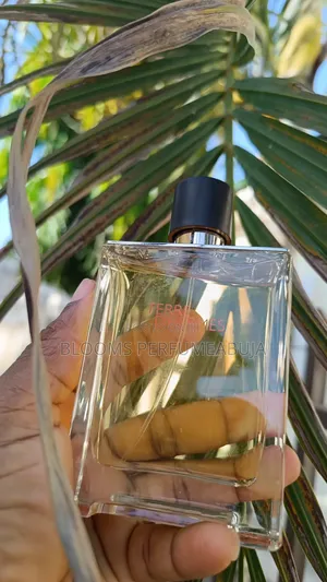 Terre d'Hermes EDT
