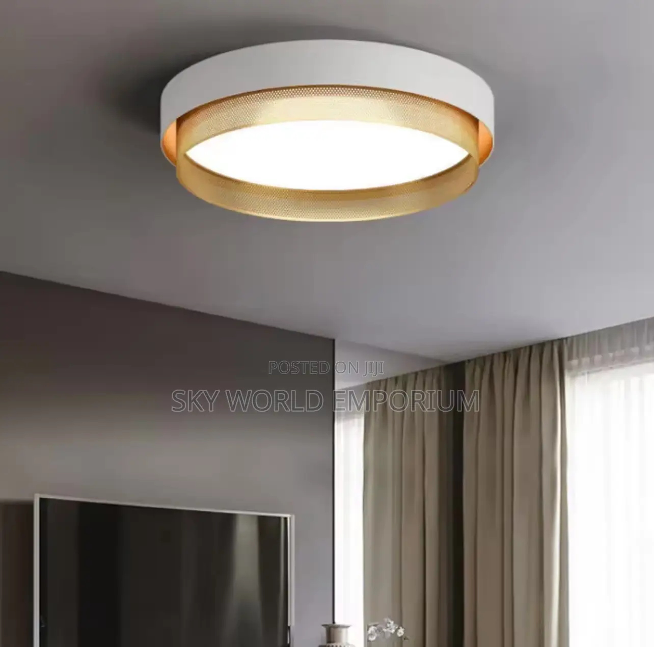 Modern LED Ceiling Lamp