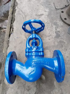 DN65 Globe Valve