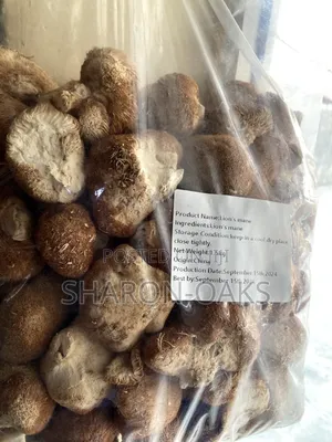 Lion Mane Mushroom 1kg