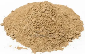 Lion Mane Mushroom Powder 1kg