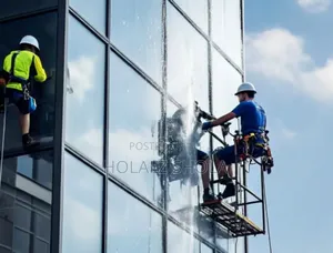 Professional Window Cleaners