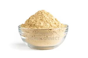 Otganic Lion’S Mane Mushrooms
Powder - 50g