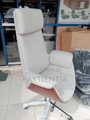 Executive Office Chair Swivel