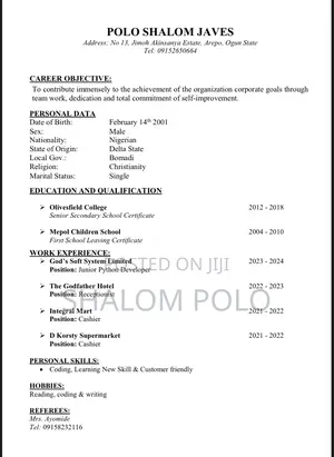 Management CV