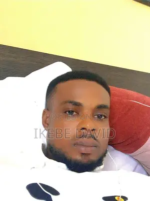 Mr David Ikebe