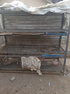 Chicken Cage for Sale