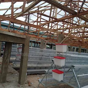 Build A Pen House For 5,000 Birds With Cage For ₦21m