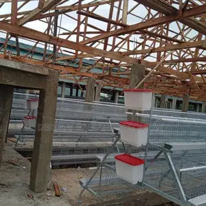 For ₦48m, Set Up A Cage Pen House For 5000 Birds Capacity
