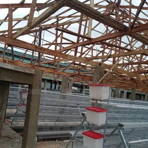 Build 5,000-bird Pen House And Cage System For ₦21m.