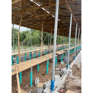 Build Your 5,000-bird Pen House Project For ₦21m.