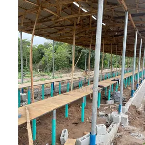 Standard Pen House For 5,000 Birds At ₦21m Only.