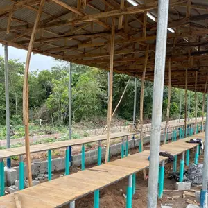 A 5,000-bird Pen House Project At ₦21m Cost.