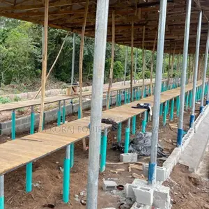 Build Standard Pen House For 5,000 Birds ₦21m.