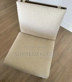 Deep Cleaning Sofa Washing