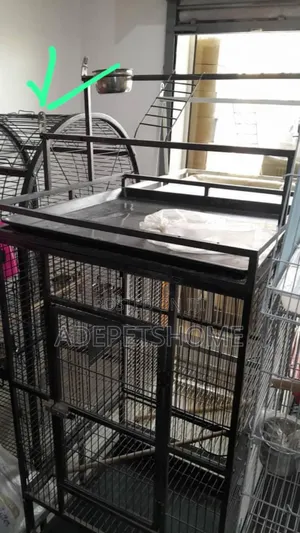 Strong Cage for Sale