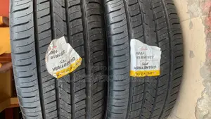 235/55r18 Dunlop Tyre