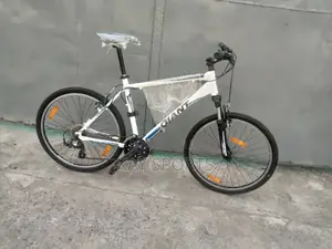 Giant Sport Bicycle