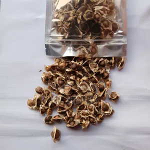 Moringa Seed 100g