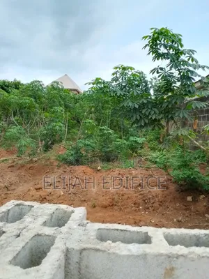 Fenced Full Plot of Land in Parkview Ijede Ikorodu.
