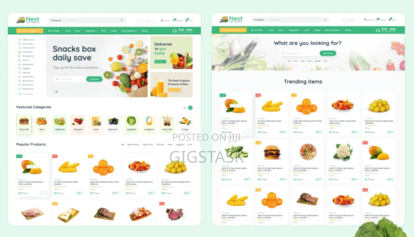 Will Create Ecommerce Website Like Jumia and Amazon