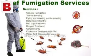 Residential, Commercial and Industrial Fumigation Service