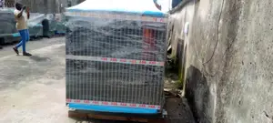 Abb 2000kva/11 Large Power Transformer