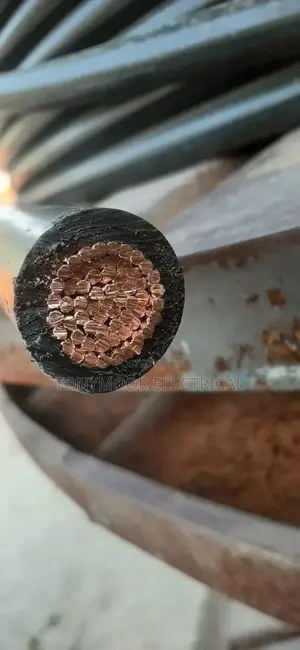300mm 1core PVC PVC ELECTRICAL CABLE
