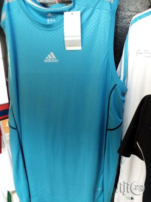 Amless Singlet