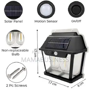 Double Solar Rechargeable Wall Security Sensor Bulbs